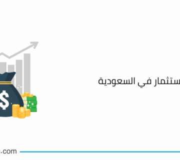 انواع الاستثمار في السعودية